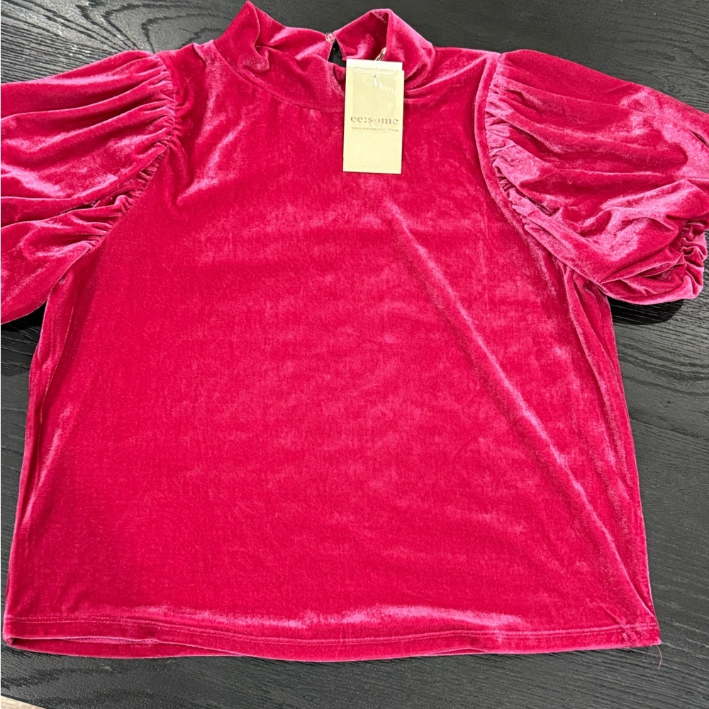 Eesome Velvet Pink Puff Sleeve Top